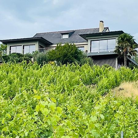 Maison Des Coteaux Blancs Chaudefonds-sur-Layon ภายนอก รูปภาพ
