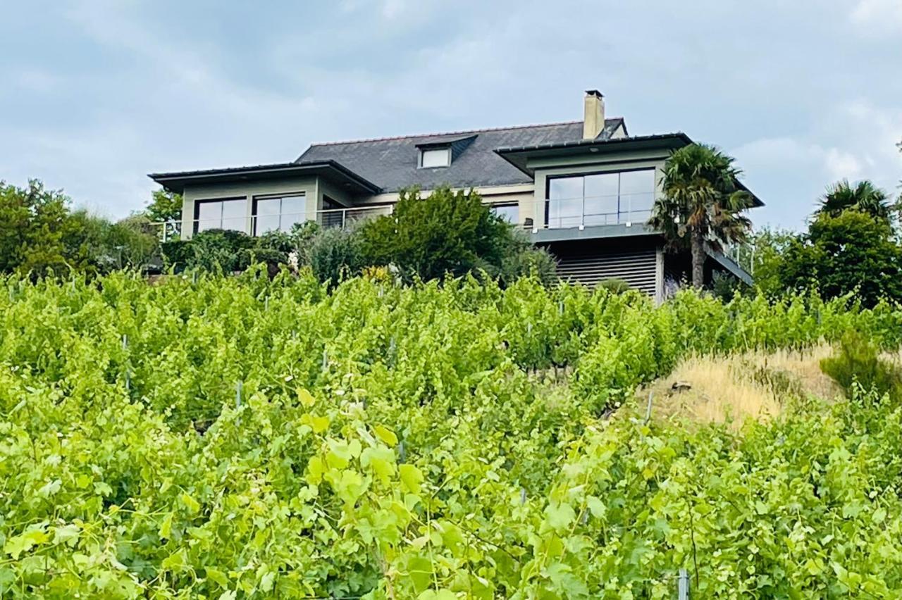 Maison Des Coteaux Blancs Chaudefonds-sur-Layon ภายนอก รูปภาพ