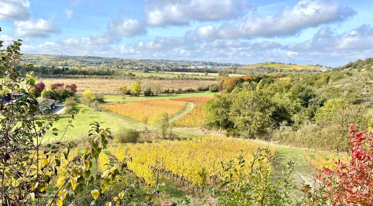 Maison Des Coteaux Blancs Chaudefonds-sur-Layon ภายนอก รูปภาพ