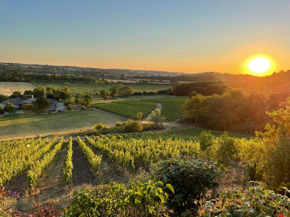 Maison Des Coteaux Blancs Chaudefonds-sur-Layon ภายนอก รูปภาพ